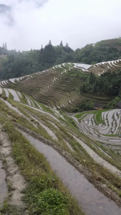 Explore rice terraces in China during a cloudy day of travel Vídeos de archivo 335073214