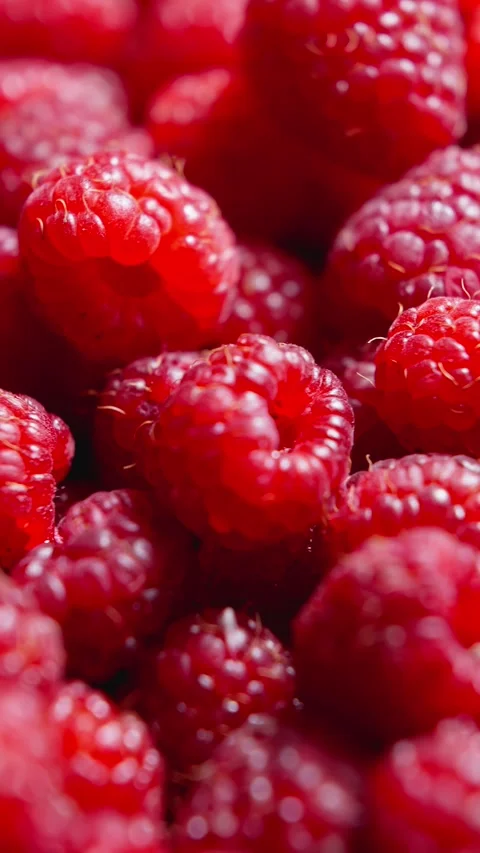 Explore rich hues and sweet aromas of freshly picked raspberries at local market Stock Footage 285331661