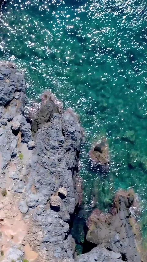Explore Rocky Landscapes and Unique Vegetation in a Stunning Aerial View of a Stock Footage 318218569
