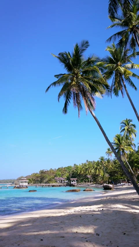 Explore the serene beaches and lush palms of Koh Kood, Thailands hidden paradise Stock Footage 337360113