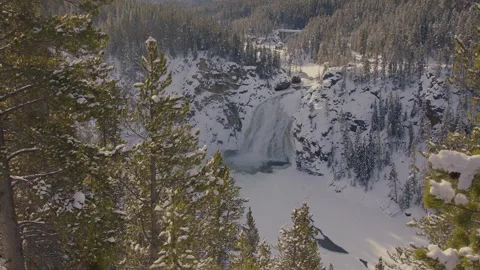 Explore the serene beauty of snowy pine trees by a cascading waterfall in winter Stock Footage 288485580