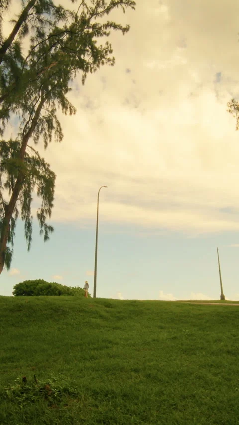 Explore a serene landscape where nature meets urban elements Stock Footage 319701565