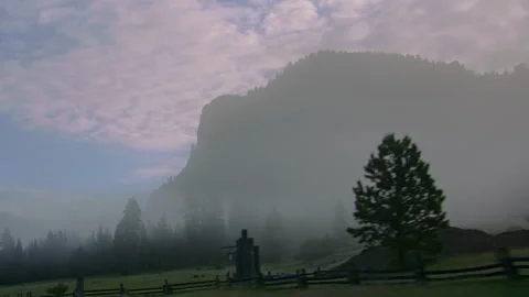 Explore the serene mountain meadow with lush trees and a peaceful atmosphere Stock Footage 288585270