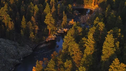 Explore a serene river winding through lush forest at sunset Stock Footage 320290471