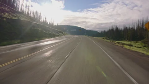 Explore a serene road surrounded by lush trees in a beautiful forest setting Stock Footage 288583352