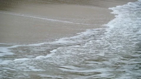 Explore the serene waves and breathtaking shores of Borneo's tropical paradise Stock-Footage 311337275