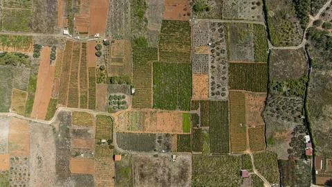 Explore Stari Grad Plain with its diverse fields and historical layout in Stock Photos