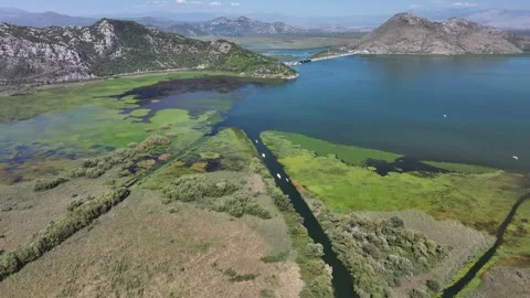 Explore the stunning aerial view of Skadar Lake with lush greenery and serene Stock Footage 287790699