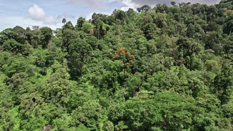 Explore stunning aerial views of Thailand's natural landscapes and coastlines Video stock 310556767