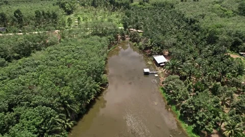 Explore the stunning aerial views of Thailand's serene natural landscapes Video stock 310556977