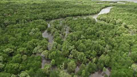 Explore stunning aerial views of Thailand's lush landscapes and rivers Video stock 310557940