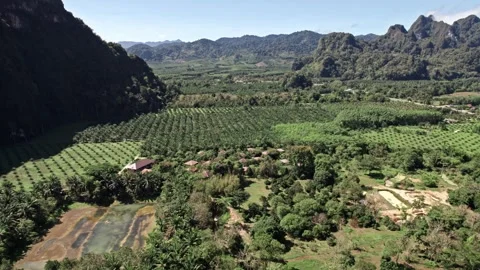 Explore stunning aerial views of Thailand's natural beauty and landscapes Video stock 310558141
