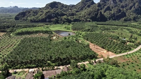 Explore stunning aerial views of Thailand's lush landscapes and coastlines Video stock 310558191