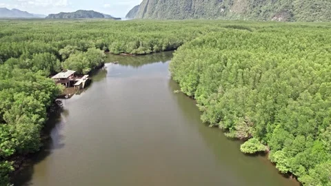 Explore stunning aerial views of Thailand’s lush nature and serene waterways Video stock 310558507