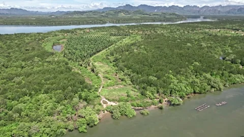 Explore stunning aerial views of Thailand's lush nature and serene waterways Video stock 310560517