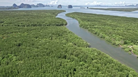 Explore stunning aerial views of Thailand's lush landscapes Stock Footage 310560527
