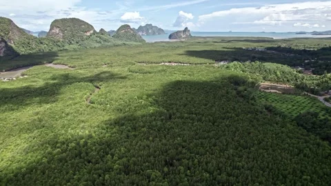 Explore stunning aerial views of Thailand's serene nature landscapes Stock Footage 310560614