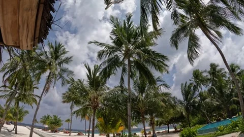 Explore the stunning beaches and palm trees of the Maldives under a vibrant sky Video stock 286105509
