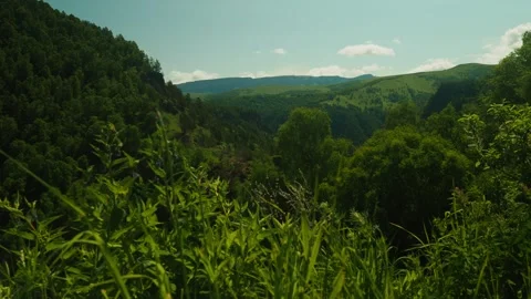 Explore stunning mountain views and lush vegetation on a warm sunny day in this Vídeos de archivo 312517810