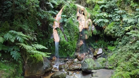 Explore a Stunning Natural Waterfall Surrounded by Lush Greenery in the Azores 库存影片 301734562