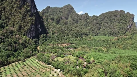Explore stunning nature of Thailand with cliffs, rivers, and oceans Video stock 310558247