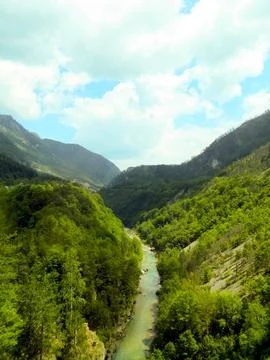 Explore the Stunning Tara River Canyon in Montenegro Surrounded by Lush Gre.. Stock Photos