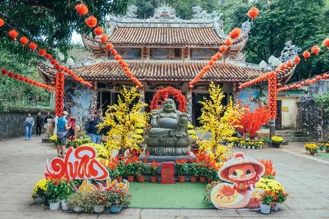 Explore the stunning Tet decorations and vibrant atmosphere at this beautiful Stock Photos