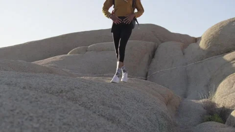Explore the stunning trails of Joshua Tree National Park on a desert hike Stock Footage 312648341