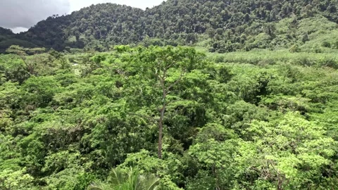 Explore Thailand's breathtaking nature through serene aerial views Video stock 310556766