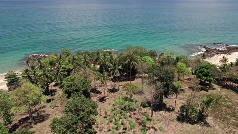 Explore Thailand's pristine nature with stunning ocean views Video stock 310559590