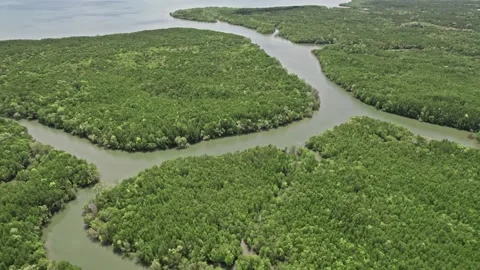 Explore Thailand's tranquil rivers and lush green landscapes from above Video stock 310557847