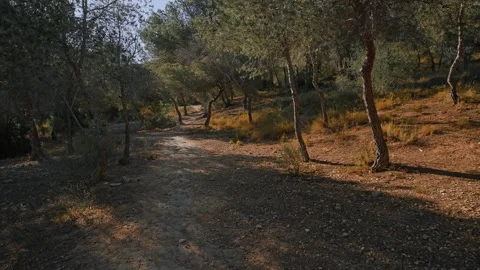 Explore the trails of Benidorm with beautiful pathways surrounded by nature and Stock Footage 337151992