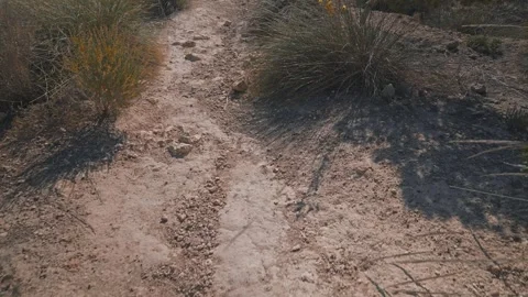 Explore the trails in Benidorm as you walk through the natural paths filled with Stock Footage 337151969