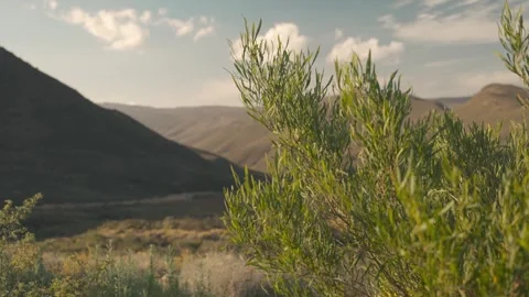 Explore a tranquil mountain view Vídeo Stock 345006301