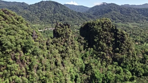 Explore tranquil nature in aerial views of Thailand's stunning landscapes Video stock 310558155