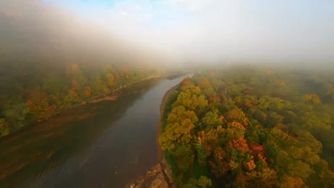 Explore a tranquil river surrounded by misty autumn trees Stock Footage 320293341