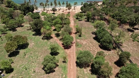 Explore tranquil Thailand's stunning landscapes through aerial perspectives Video stock 310559569