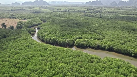 Explore tranquil Thailand's stunning natural landscapes and serene waters Video stock 310558477
