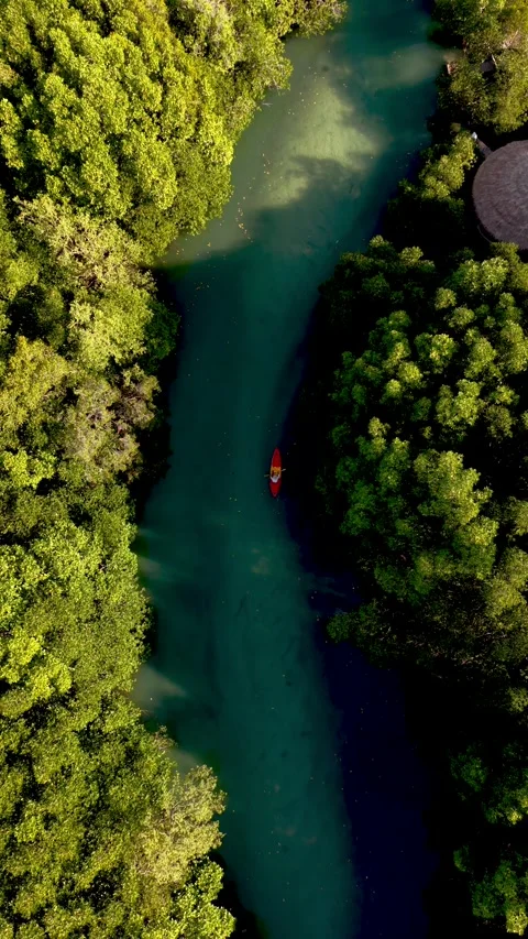 Explore the tranquil waters of Koh Phayam, Thailands hidden paradise in nature Stock-Footage 331059628