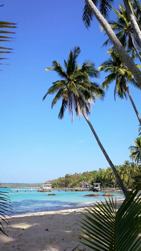 Explore the tropical paradise of koh kood in thailands captivating landscape Stock-Footage 337372796