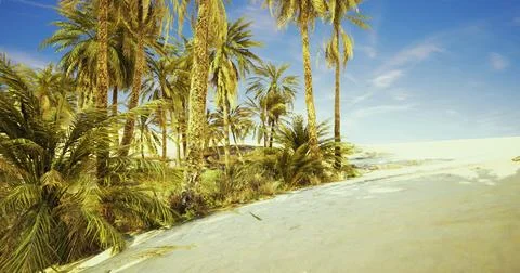Explore a tropical paradise with palm trees along a serene beach landscape Stockillustratie