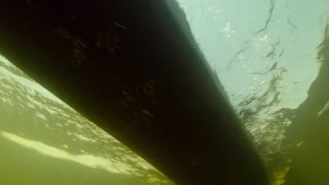 Explore underwater movements in Okavango Delta during a sunny day Stock Footage 326018220