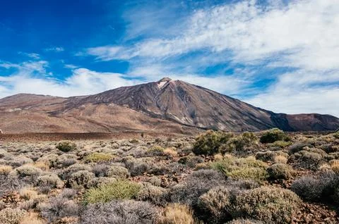 Explore the unique desert landscape surrounding El Teide in Tenerife. Stock Photos
