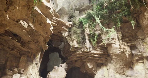 Explore unique rock formations and lush greenery in a captivating cave setting Stock Footage 313869026