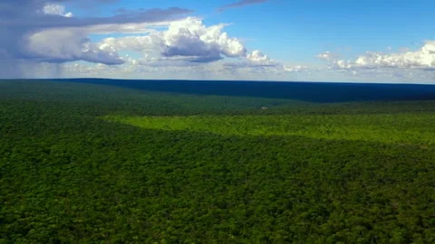 Explore the vast landscapes of Okavango Delta in Africa from above Stock Footage 326004862