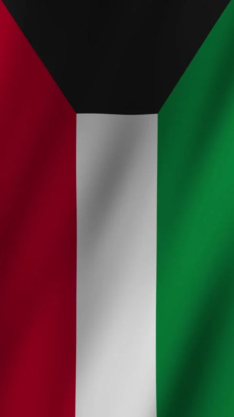 Explore the vibrant animation of a country flag with distinct colors and Stock Footage 304717772
