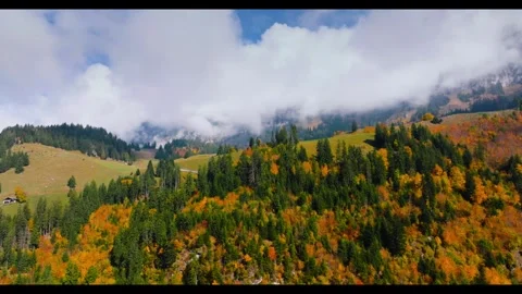 Explore vibrant autumn colors in mountain landscape Stock Footage 320262913