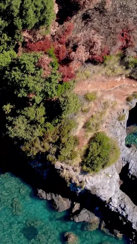 Explore the Vibrant Landscape and Colorful Trees Along the Winding Path by the Stock Footage 318218554