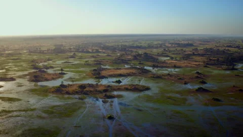 Explore the vibrant landscapes of Okavango Delta during sunrise Stock Footage 326019215