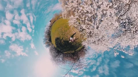 Explore a vibrant spring day in a blooming park with clear blue skies Stock Footage 308659356